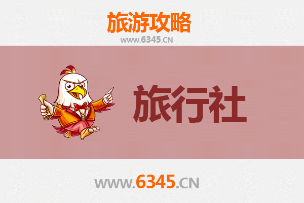 新界大埔本地旅行社推荐：深度探索自然与文化的完美向导