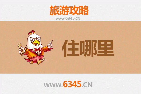 新界大埔深度游：民宿精选与在地体验全攻略